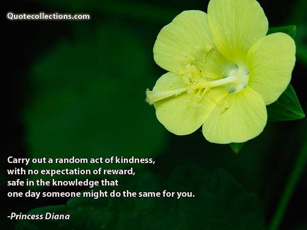 Princess Diana Quotes4